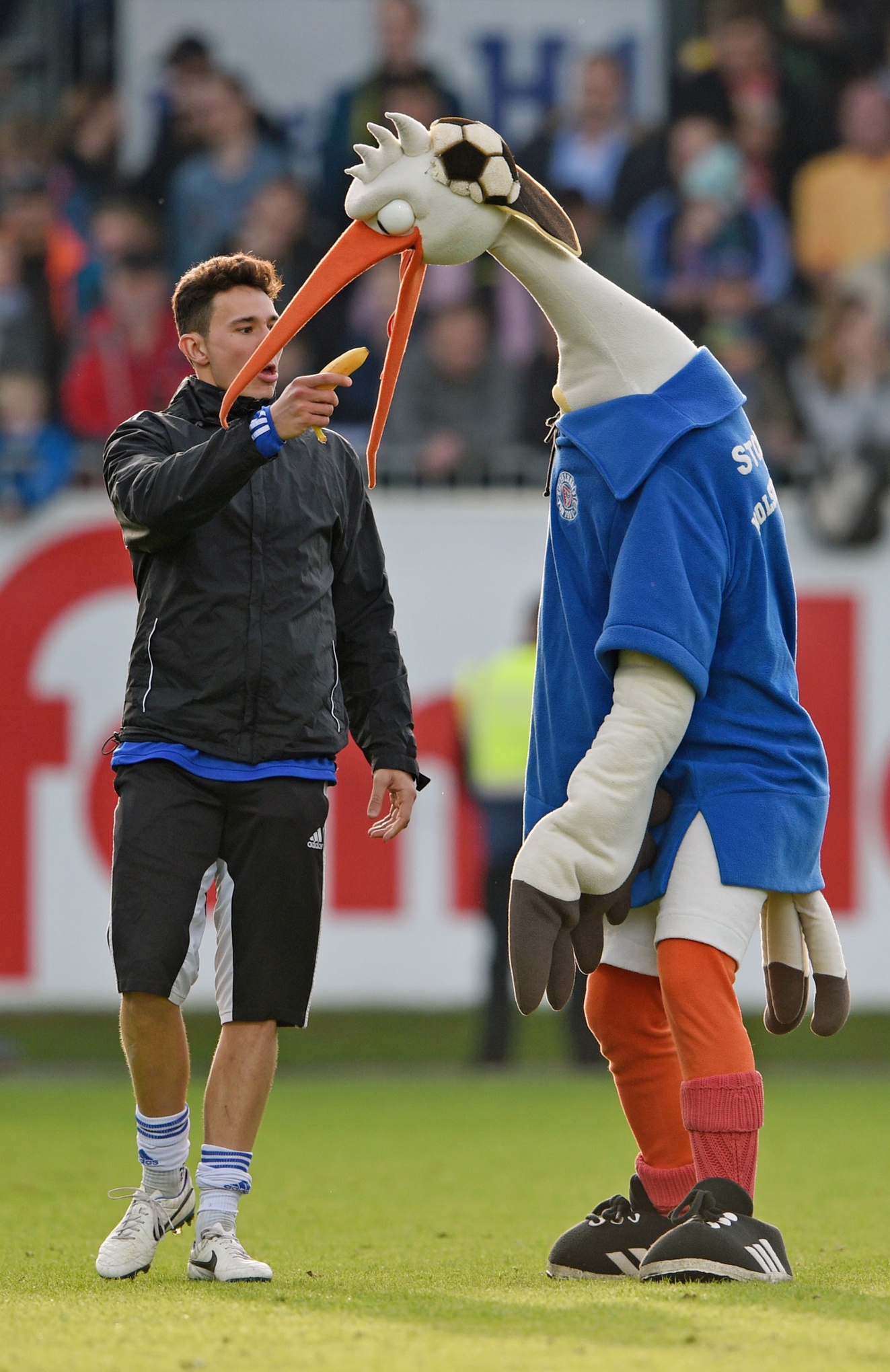 the-strange-and-sometimes-terrifying-world-of-football-mascots-in