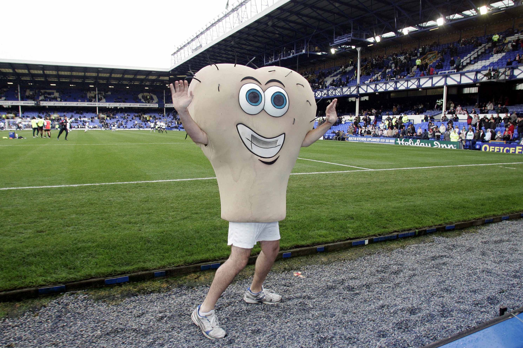 the-strange-and-sometimes-terrifying-world-of-football-mascots-in