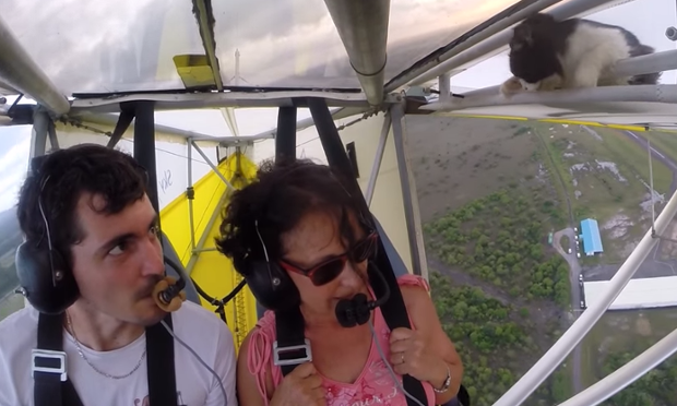 Viral video: Channing Tatum, Lionel Messi, Shakira and Greg James