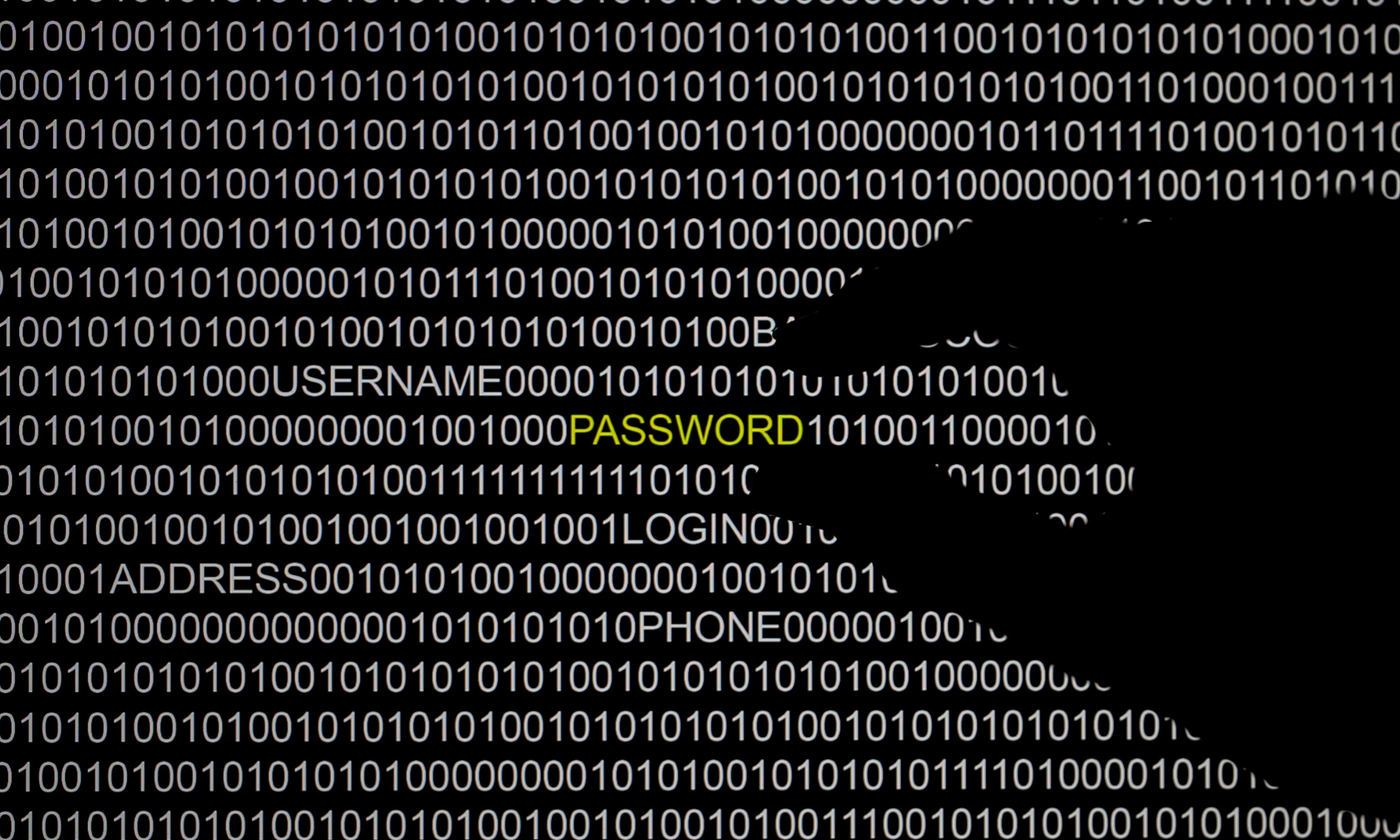 Adobe issues urgent Flash patch to prevent hacking attacks