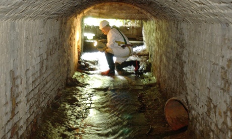 Cocaine in London sewers at highest level in Europe