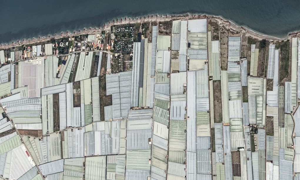 Bernhard Lang's best photograph: the 'Sea of Plastic' greenhouses from the air