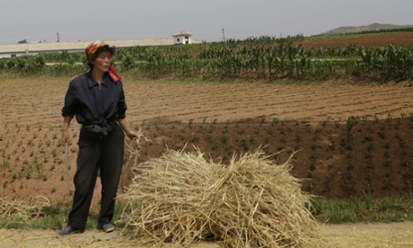 Rain brings drought relief in North Korea