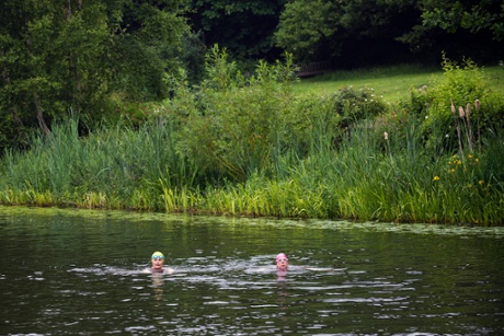 Kenwood Ladies Pond, Hampstead