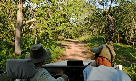 On safari in the Northern Territory. 