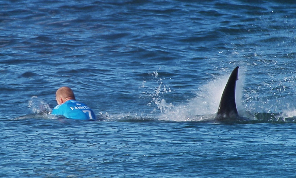 Cliff Richard's Pro Celebrity Tennis, extreme danger and Diego Maradona - The Guardian (blog)