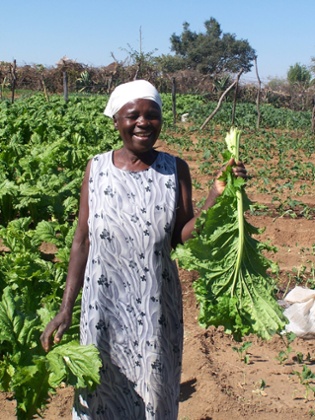 A farmer from the  Mazuru market garden with her crops. 