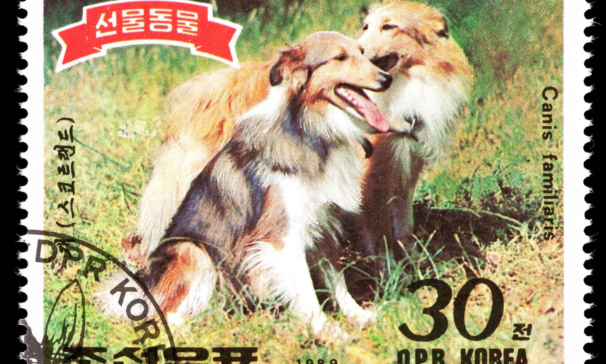 Asia news NewsLocker