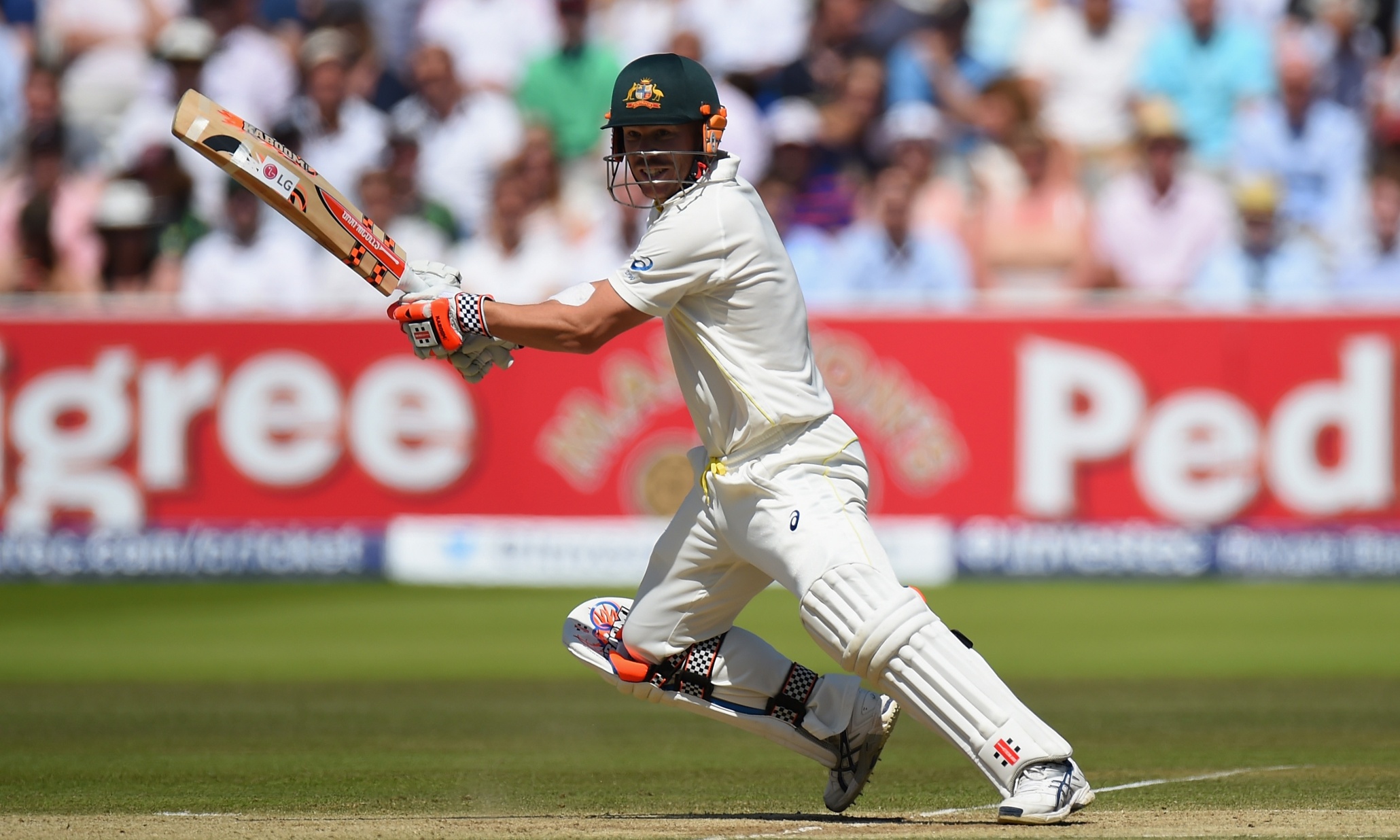 How David Warner went back to basics to make himself great for Australia