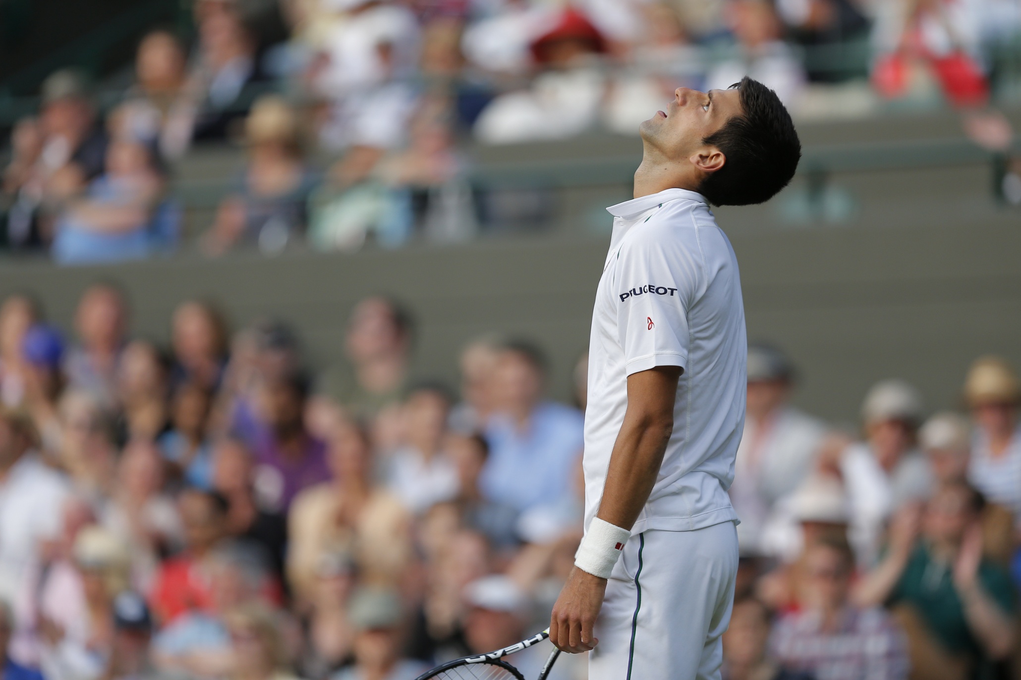 Wimbledon 2015: day seven – in pictures