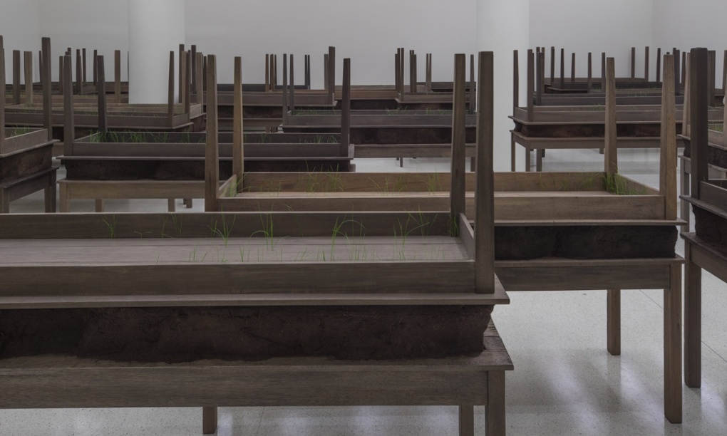 Doris Salcedo review – an artist in mourning for the disappeared