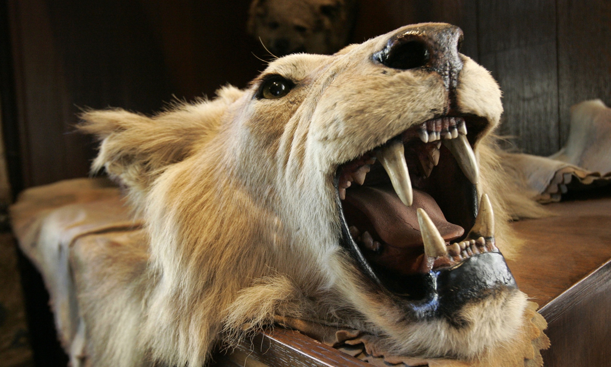 Modern hunting images are morally repugnant. Better to look away | Jonathan Jones