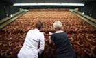 300 staff lose their jobs at Axminster Carpets