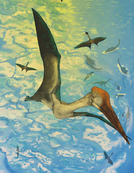 national geographic pterosaurs