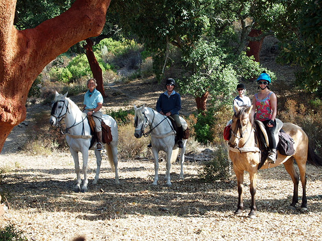 Andalucia: In the cork forest