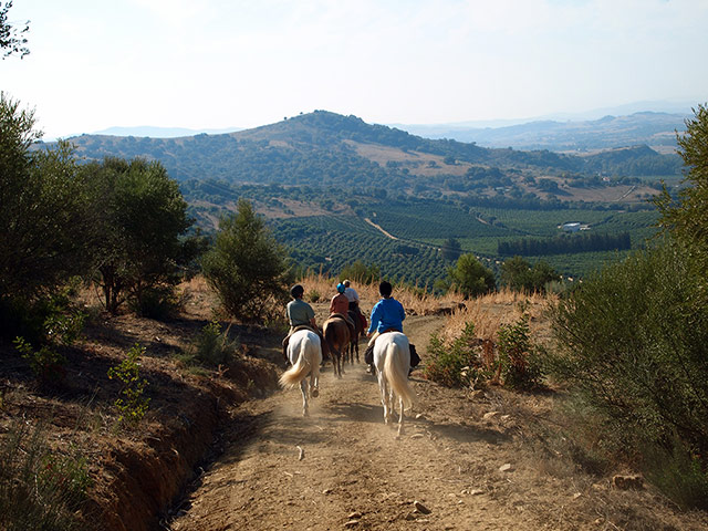 Andalucia: To the orange groves