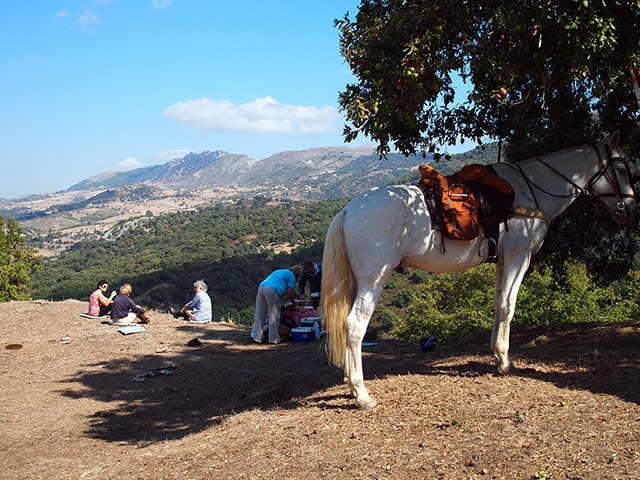 Andalucia: Panaramic picnic