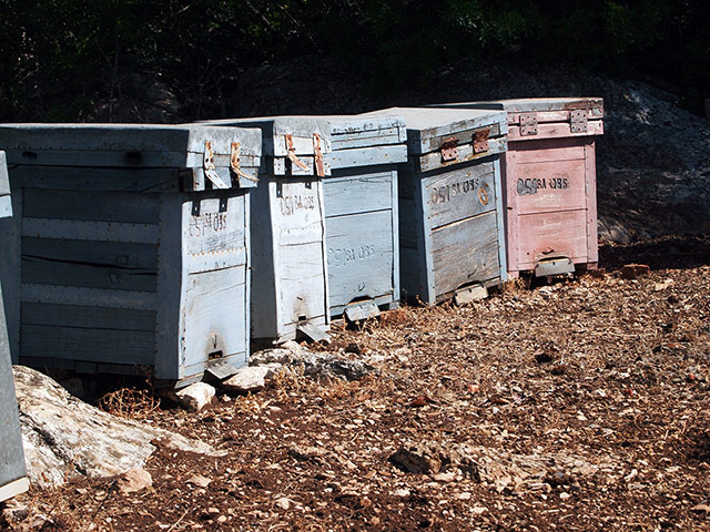 Andalucia: Honey hives