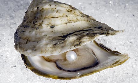 oyster1.jpg