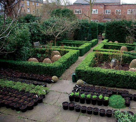 garden in house