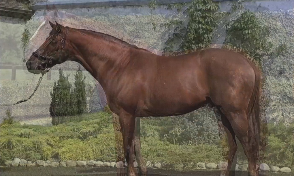 John Stezaker: Film Works review – an overwhelming onrush of images
