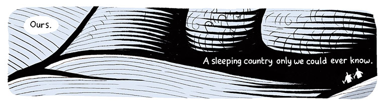 In Room 208: In Room 208 by Stephen Collins