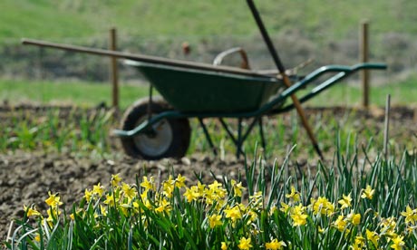 gardening