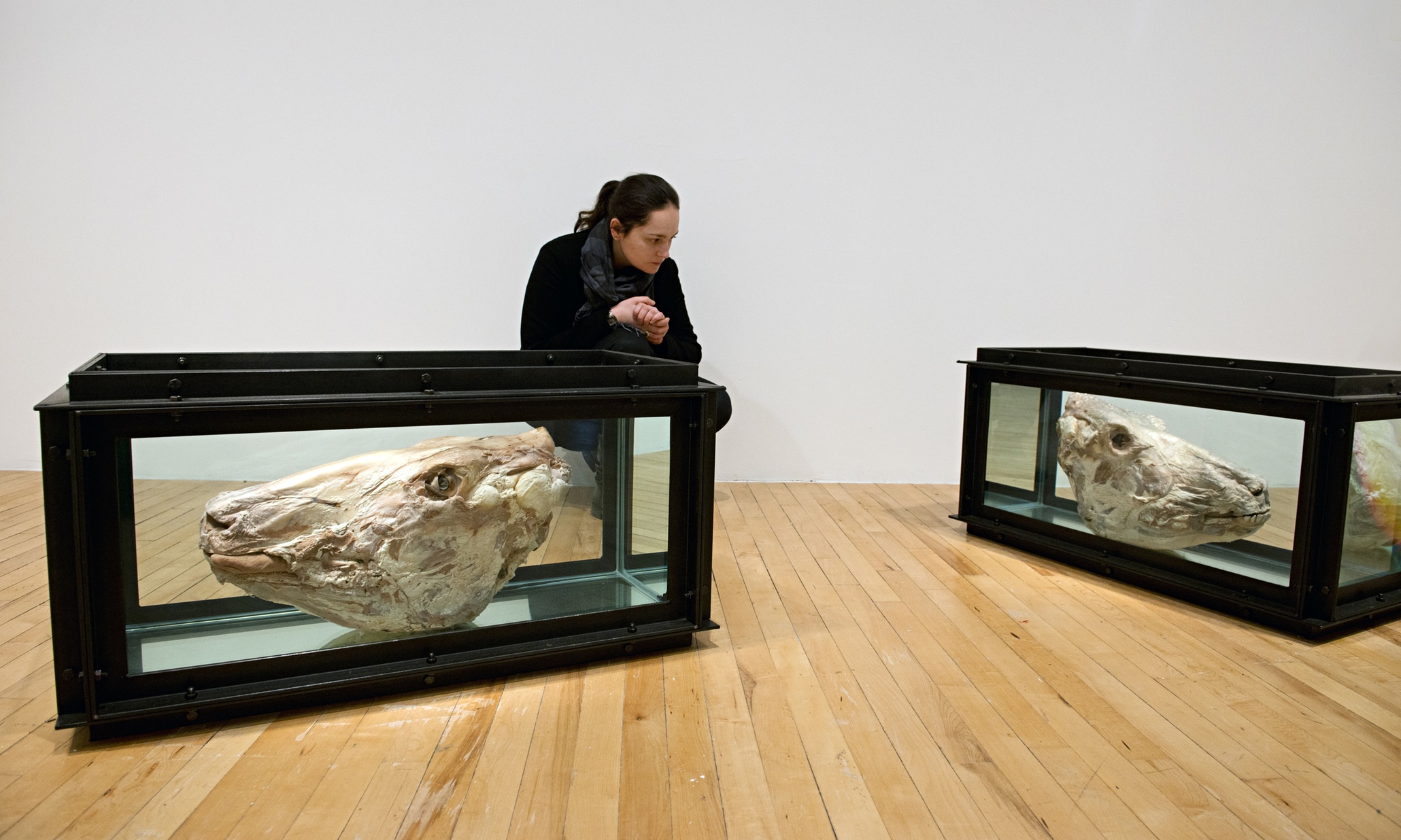 History is Now: 7 Artists Take on Britain review – the ultimate Blue Peter time capsule