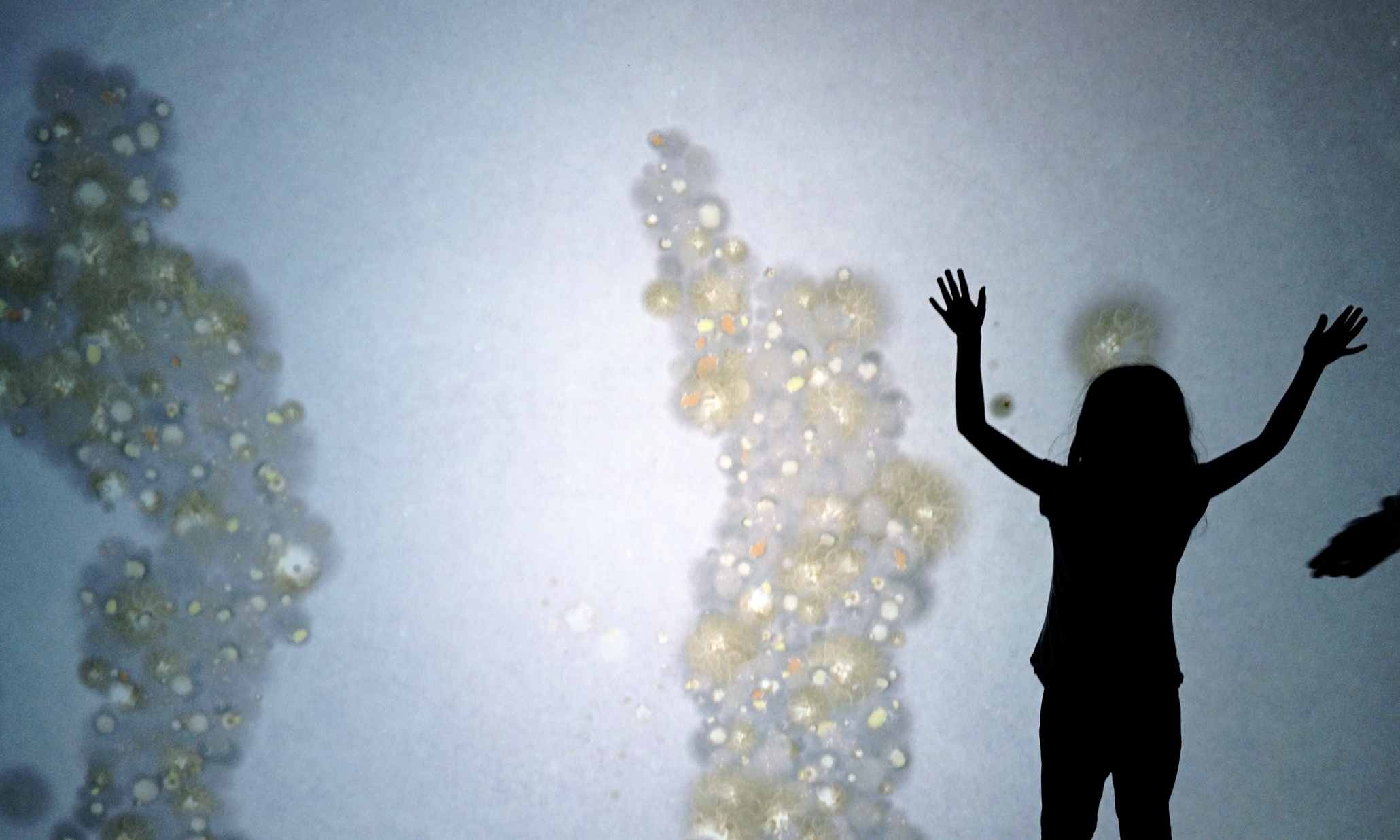 Faecal transplants and bio-art … Eden Project’s latest exhibition explore the science of microbes