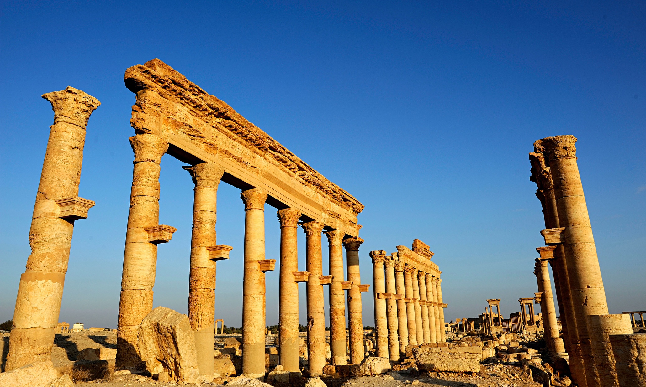 Coalition Air Strikes Should Defend Palmyra It Belongs To The Whole 