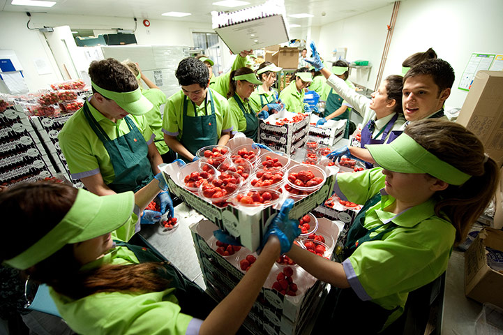 Wimbledon photo book: Preparing of the strawberries