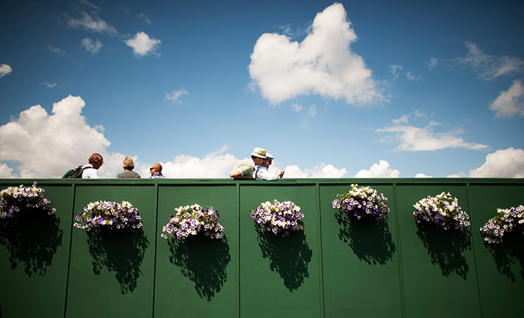 Wimbledon photo book: Spectators with flowers during Wimbledon tennis championships
