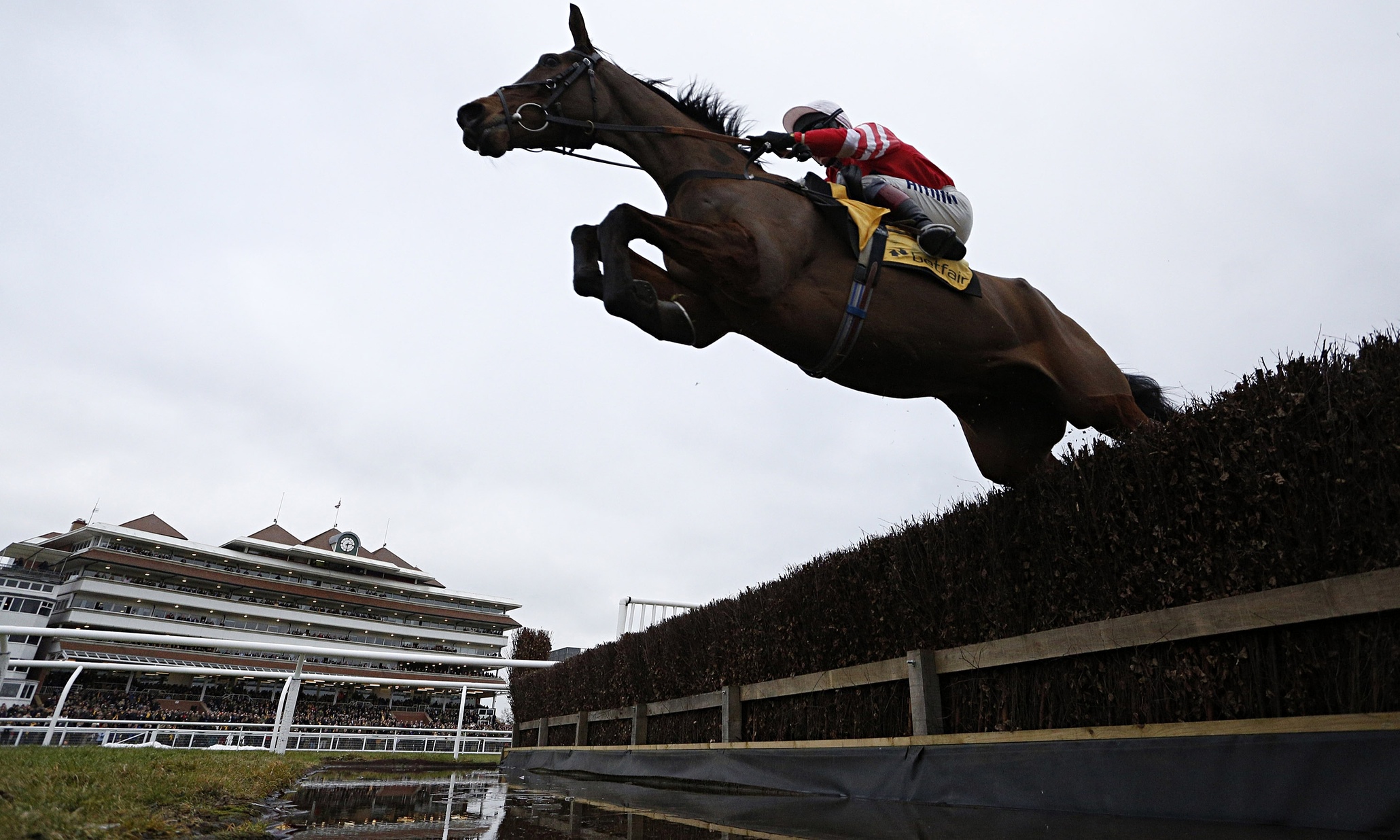 horse-racing-tips-saturday-28-february-sport-the-guardian