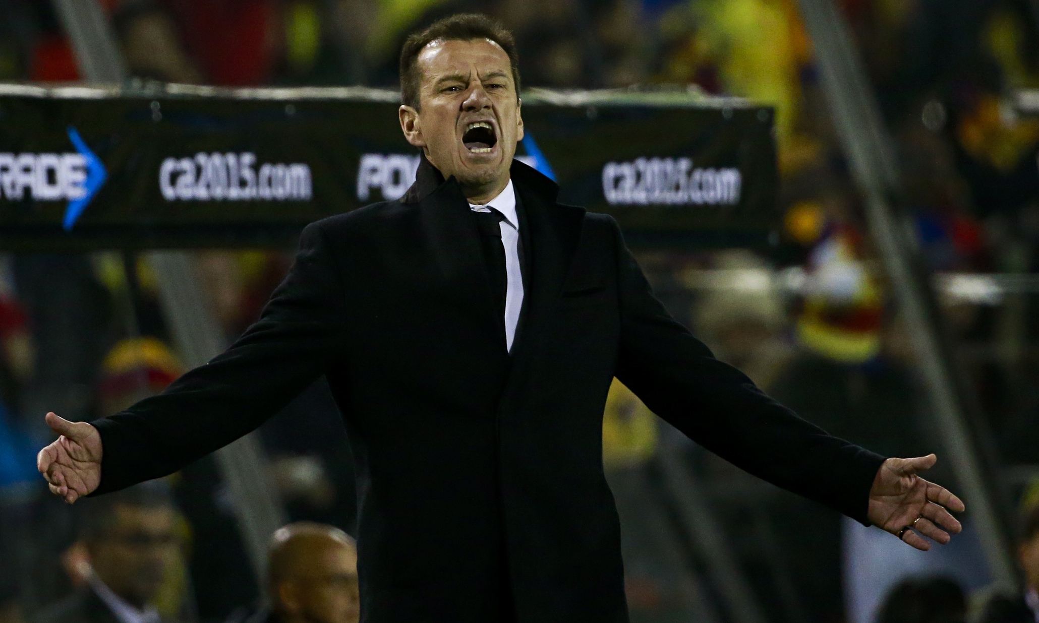 Brazil’s manager Carlos Dunga apologises for ‘racist’ comments
