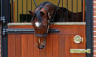 Frankel leaves Sir Henry Cecil for new life as Â£100,000 stallion