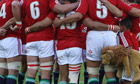 The 50 greatest British & Irish Lions