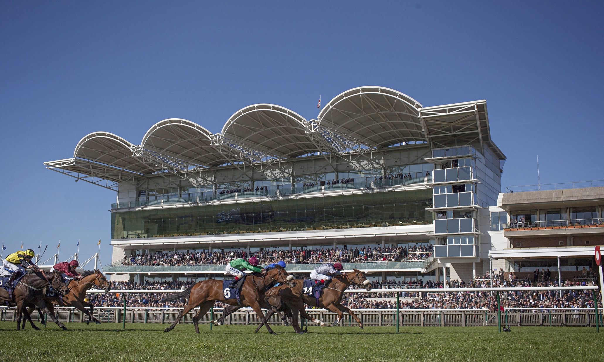 Newmarket races 009 jpg