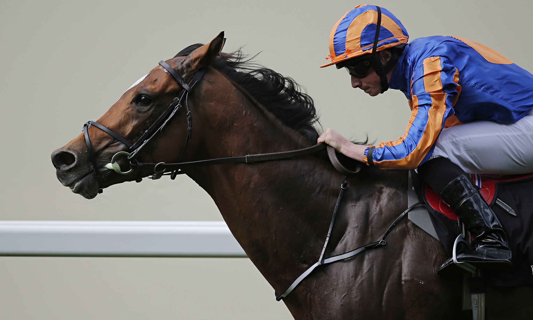 Aidan O’Brien wins St James’s Palace with Gleneagles at Royal Ascot