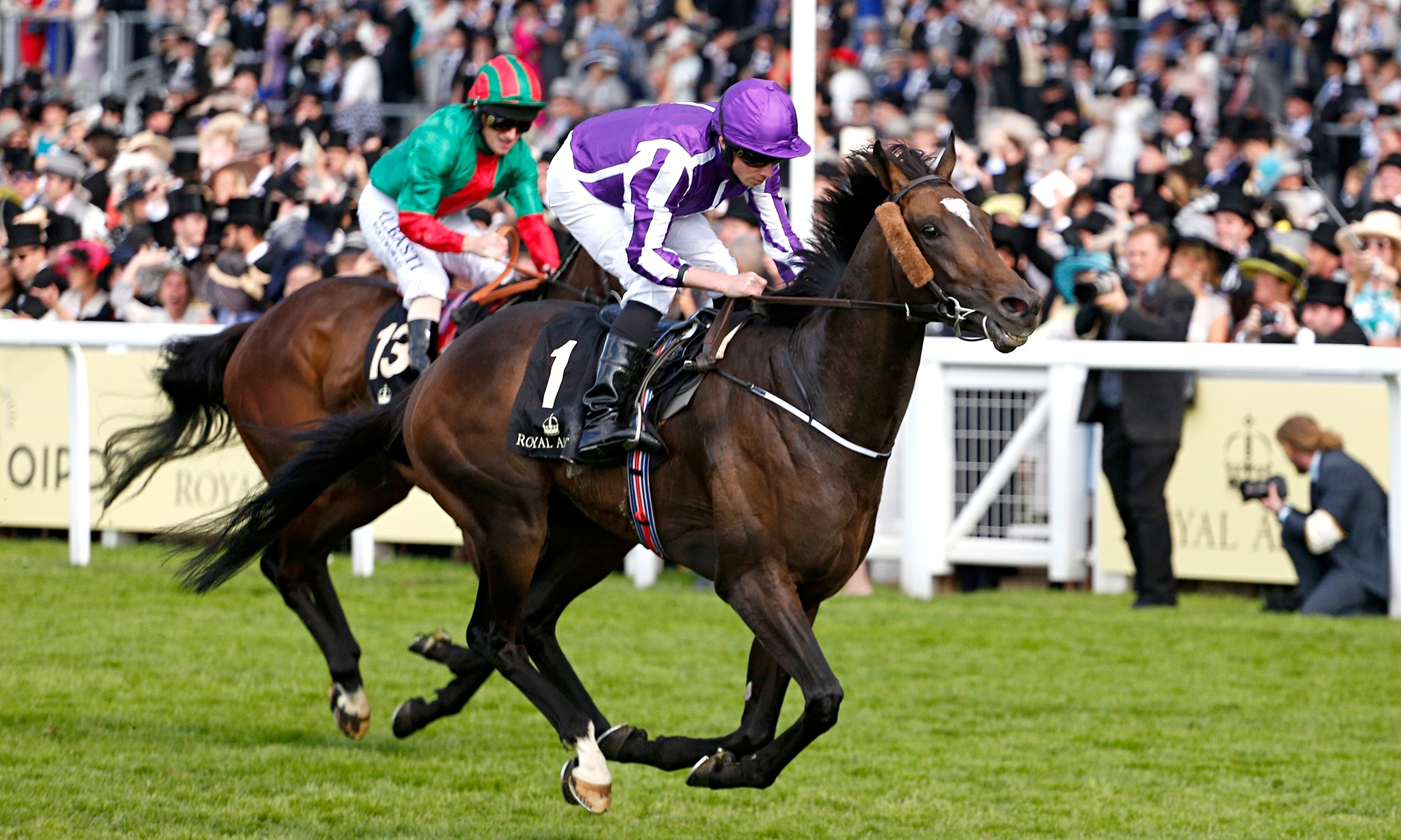 Качественные скачки. Скачки Ryan Moore. Royal Ascot лошади. Британские скачки. Конный спорт во Франции.