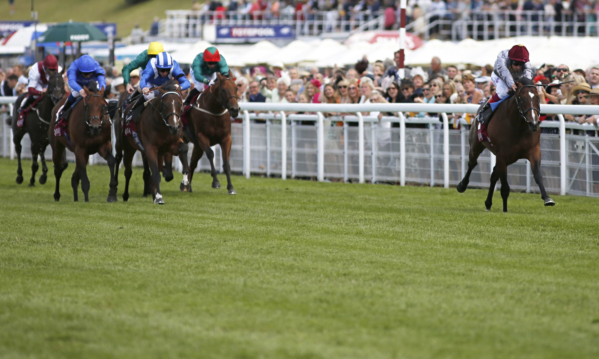 Shalaa will be a sprinter next year, says John Gosden after Richmond Stakes