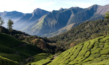 Kerala hills