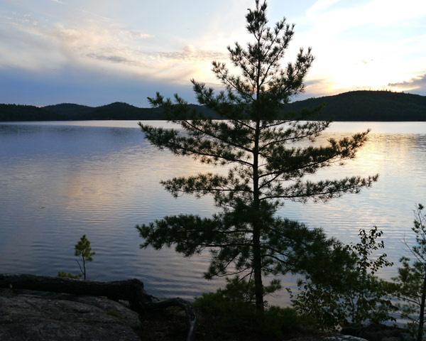 Canada: The Jack Pine site