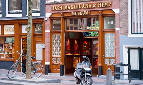 Hemp Sneakers - Hash Marihuana & Hemp Museum