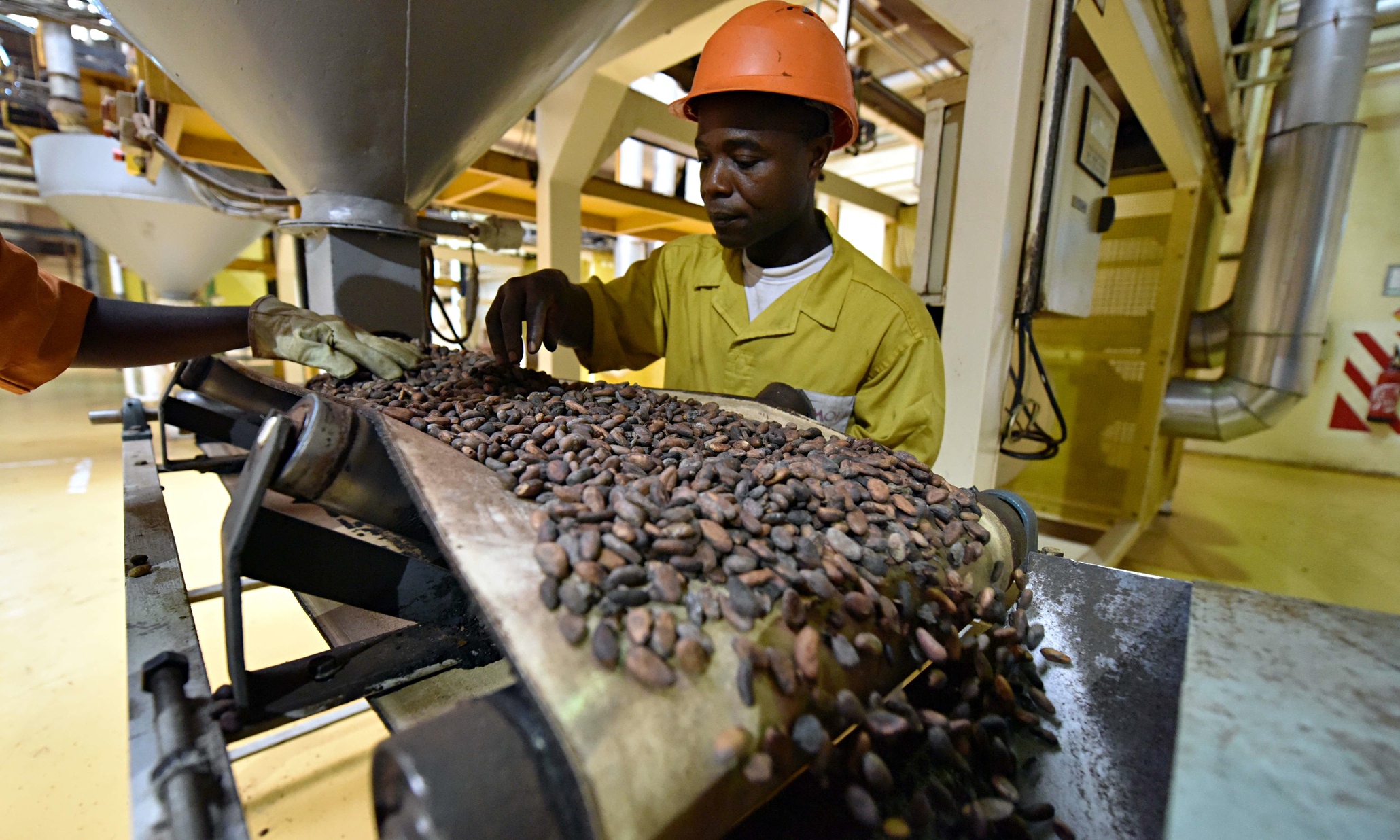 Обжарка какао бобов на фабрике