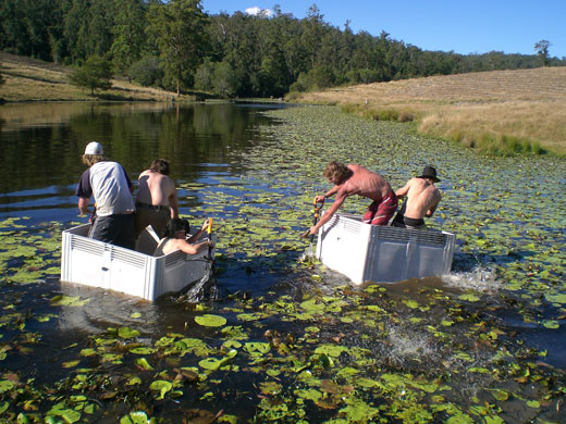 Been there photo comp Nov: Paddle boat race