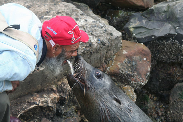 Man feeding a seal