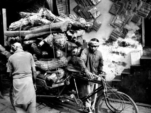 Been there photo comp: Cyclist and logs