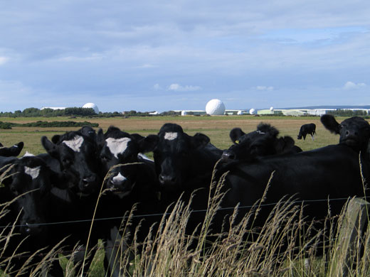 Mike's British bike trip: Near Stranraer, Dumfries and Galloway