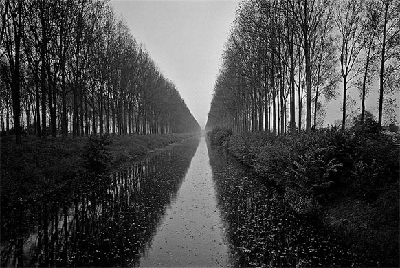 Pictures of the year: Bruges canal