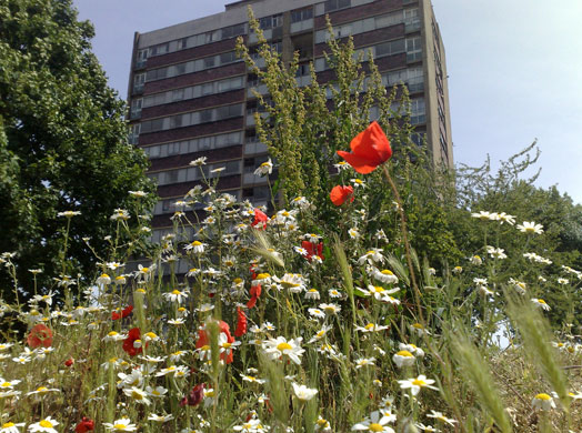 Staycation 09...so far: De Beauvoir Town, London